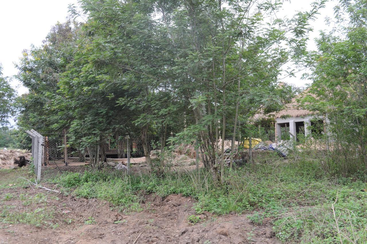 Irungu Forest Safari Lodge Katunguru Kültér fotó