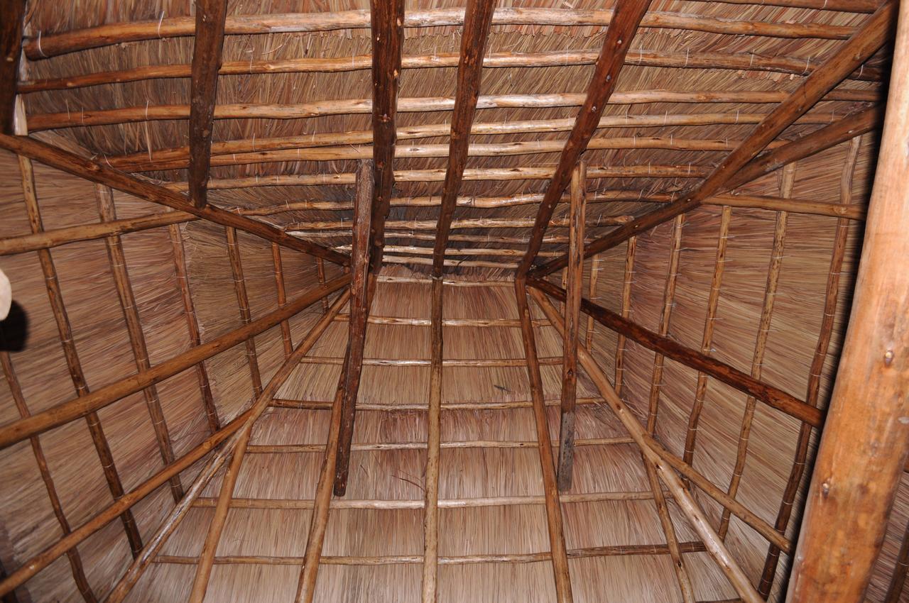 Irungu Forest Safari Lodge Katunguru Kültér fotó