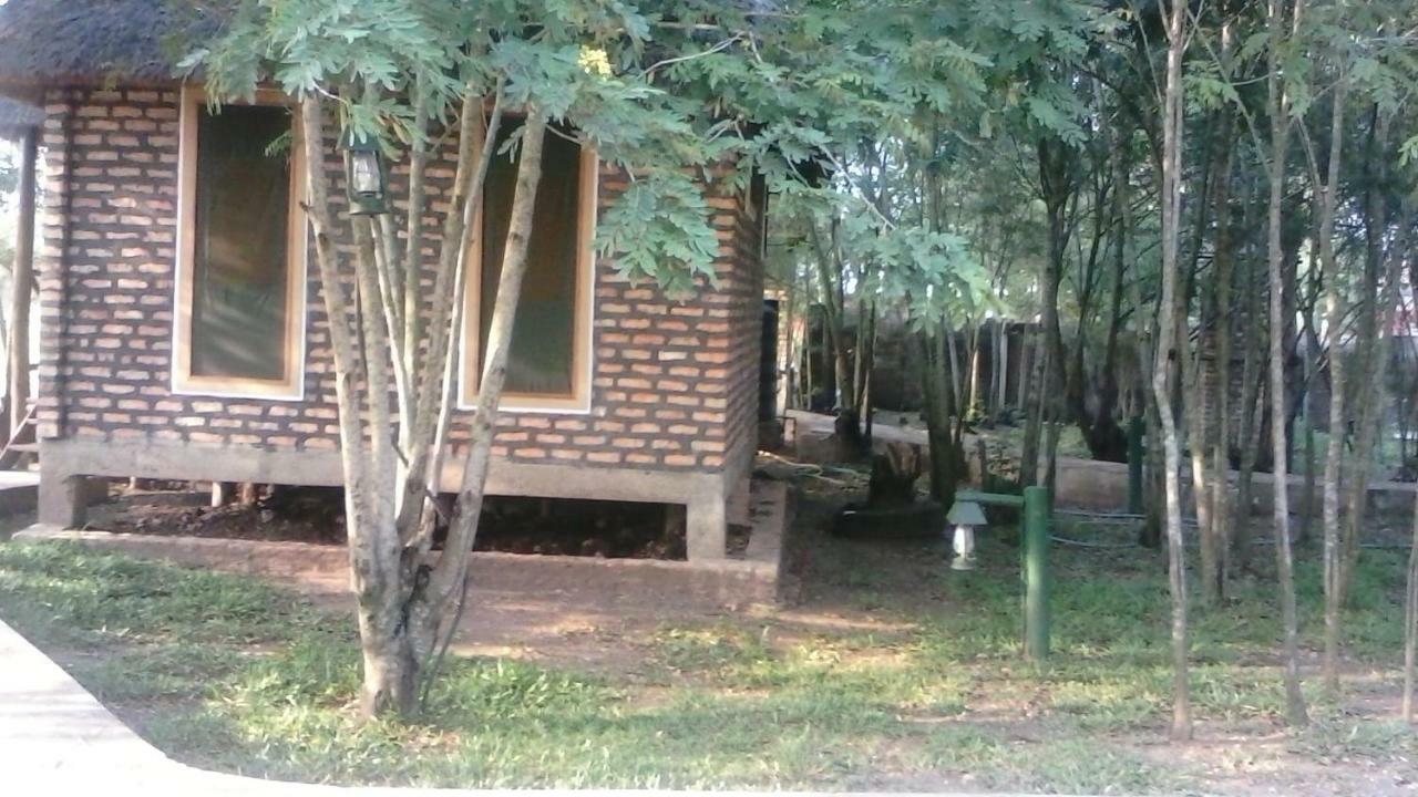 Irungu Forest Safari Lodge Katunguru Kültér fotó
