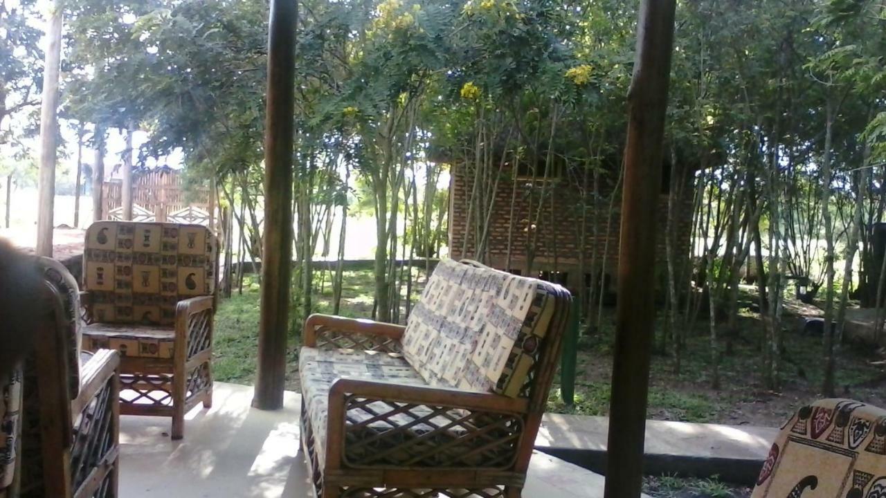 Irungu Forest Safari Lodge Katunguru Kültér fotó