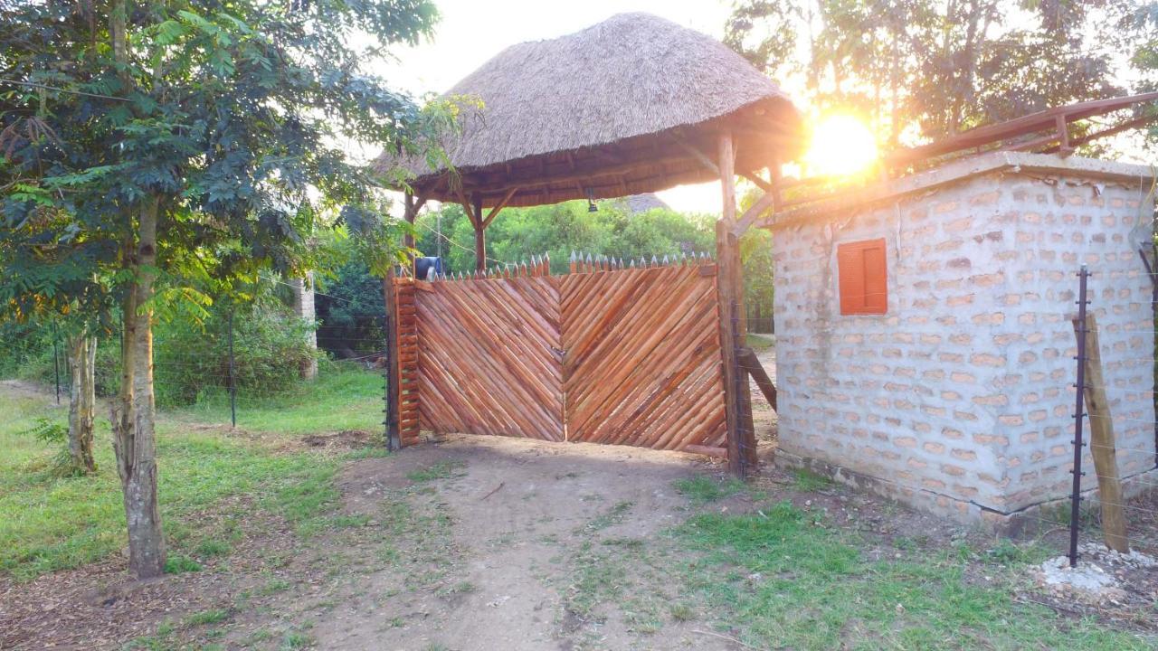 Irungu Forest Safari Lodge Katunguru Kültér fotó