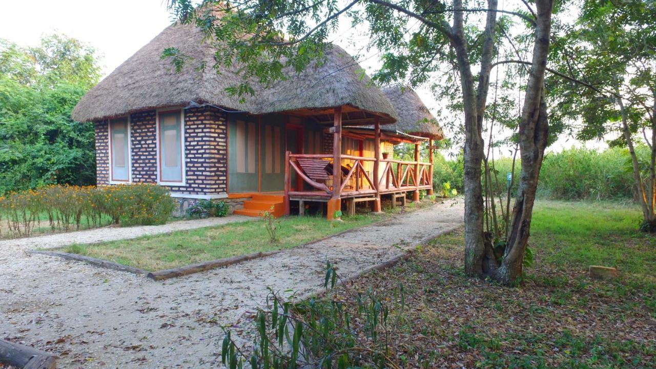 Irungu Forest Safari Lodge Katunguru Kültér fotó